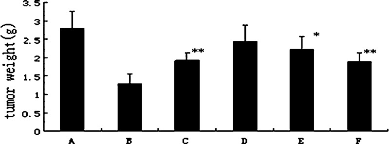 Fig. 5