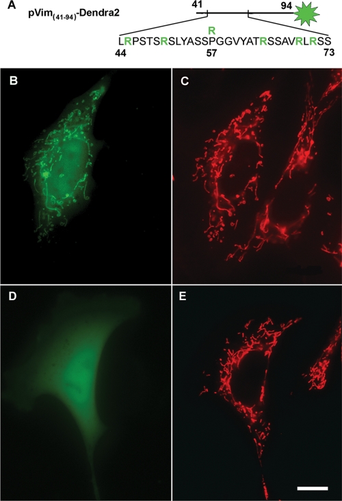 FIGURE 6: