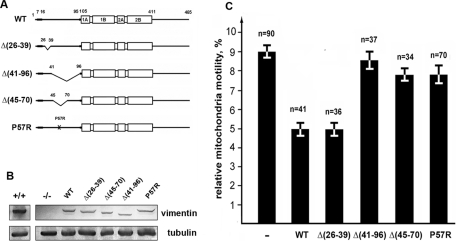 FIGURE 5: