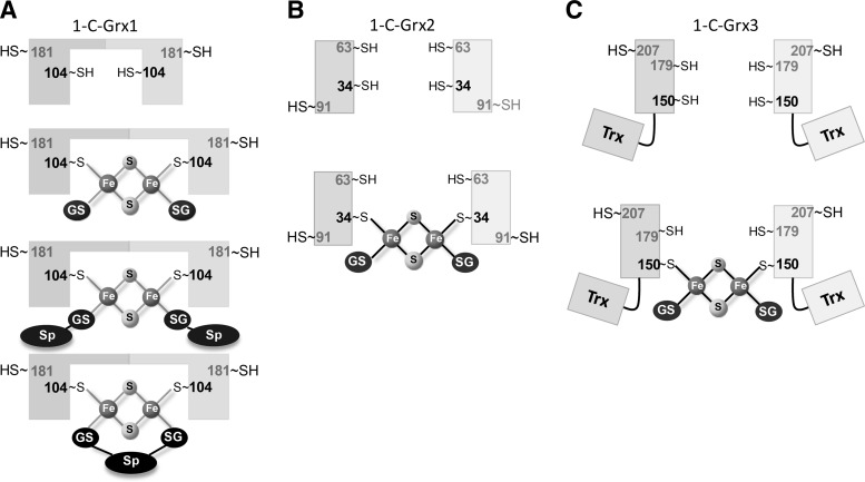 FIG. 4.