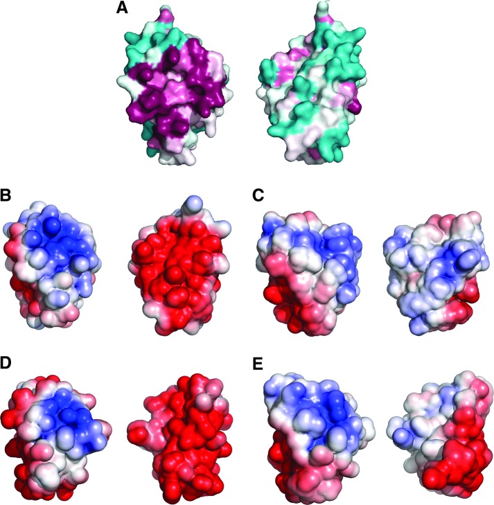 FIG. 6.