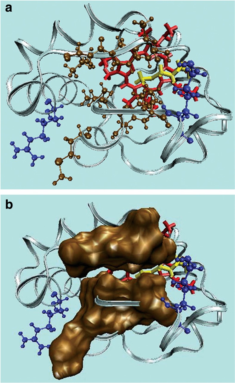 Fig. 24