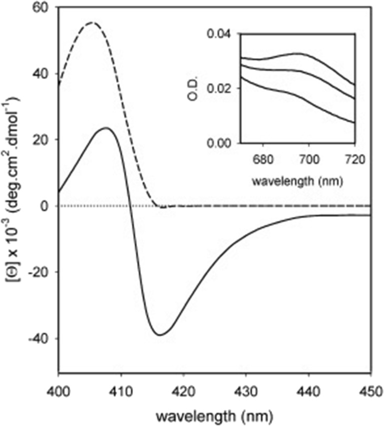 Fig. 12