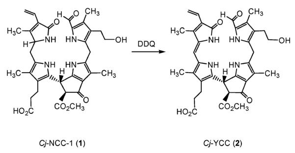 Fig. 3