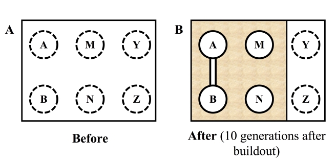 (B) illustrates an ideal study site; white background indicates natural land cover; stippling indicates land converted to urban or agricultural uses incompatible with movement by the focal species.