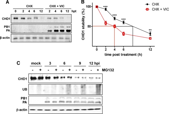 FIG 10