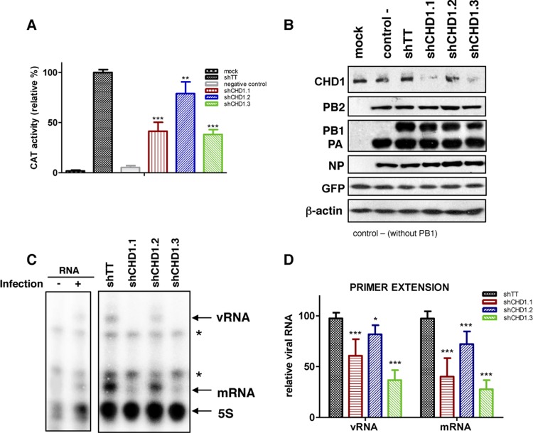 FIG 3