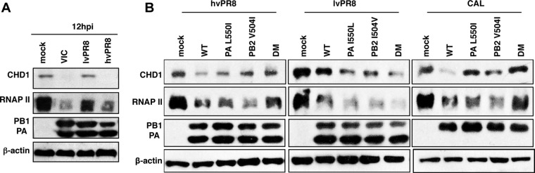 FIG 11