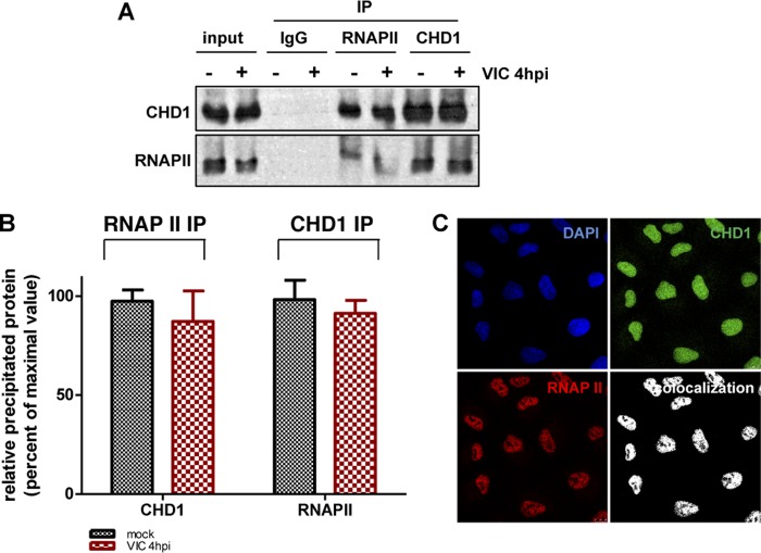 FIG 8