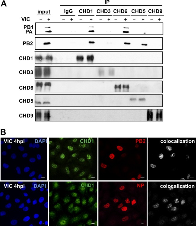 FIG 1