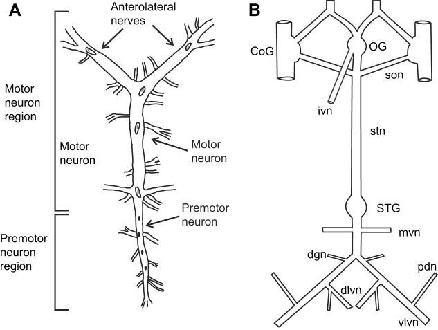 Fig. 1.