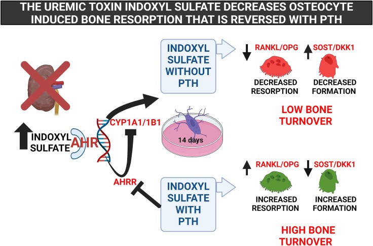 Graphical Abstract