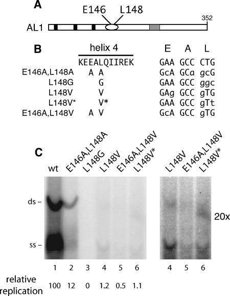 FIG. 1.