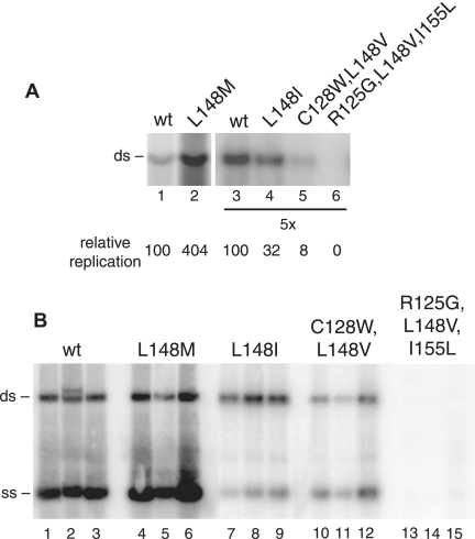 FIG. 5.