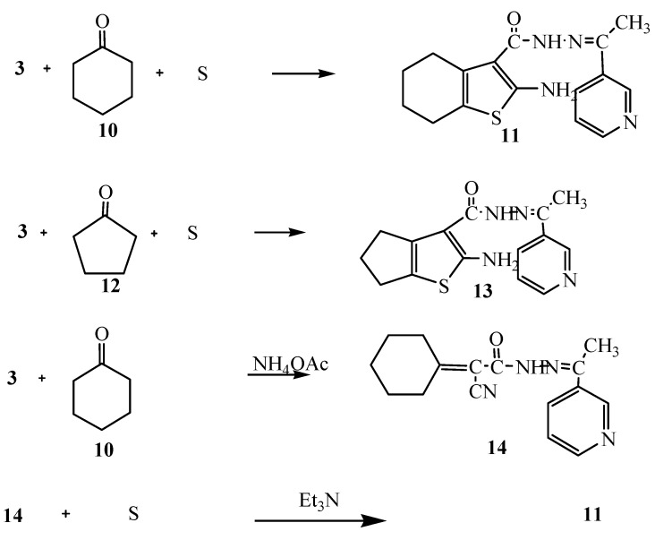 Scheme 4