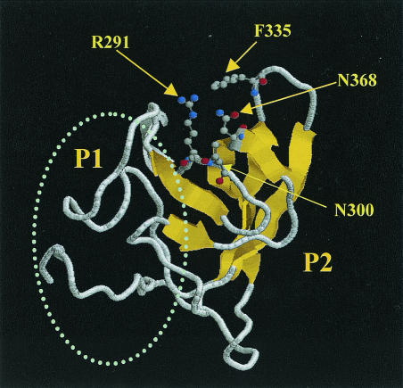 FIG. 2.