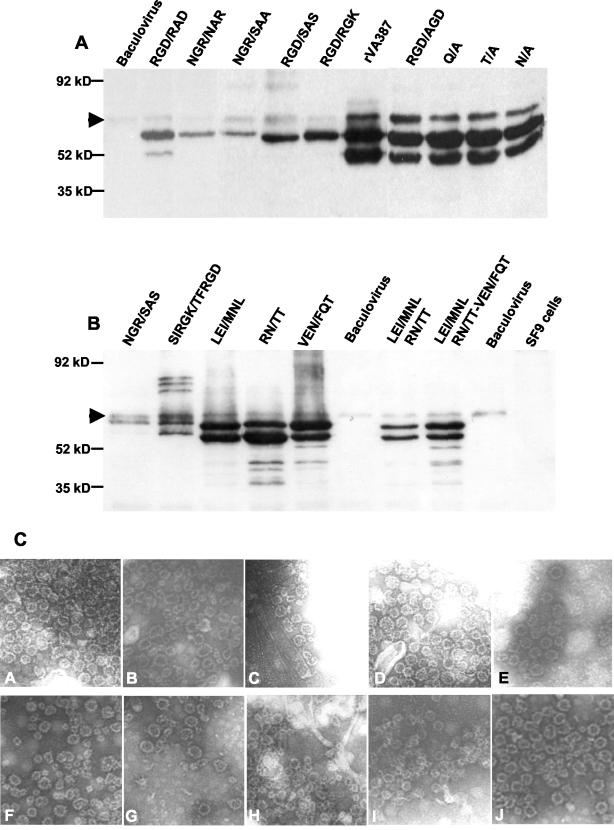 FIG. 4.