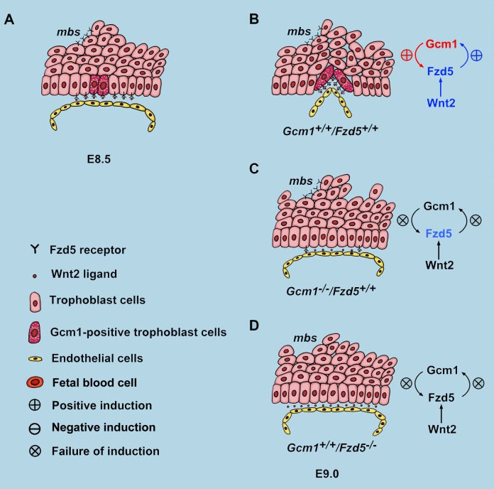 Figure 9