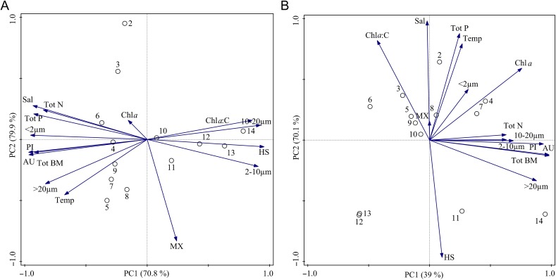 Fig. 6.