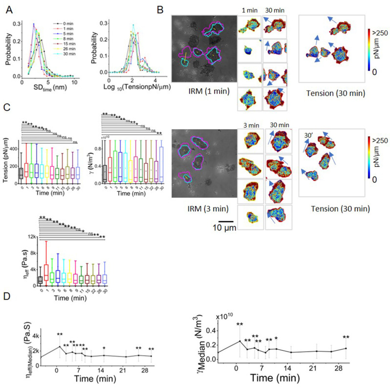 Figure 2—figure supplement 1.