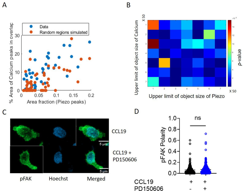 Figure 5—figure supplement 1.