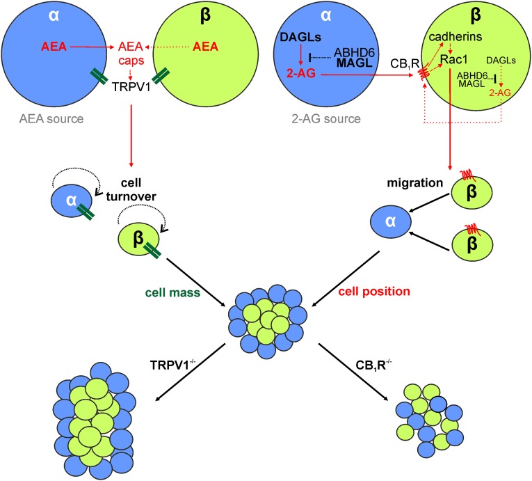 Fig. S3.