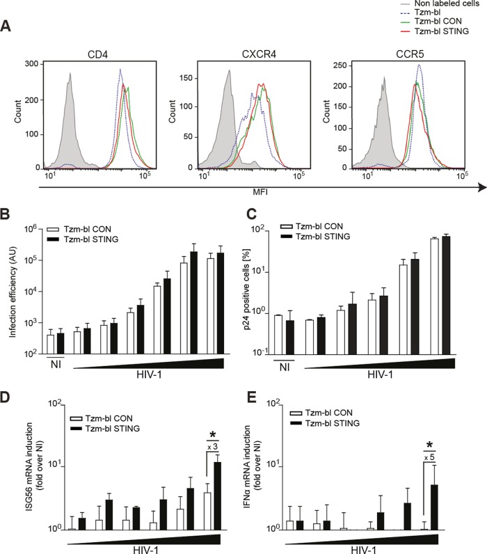 FIG 2