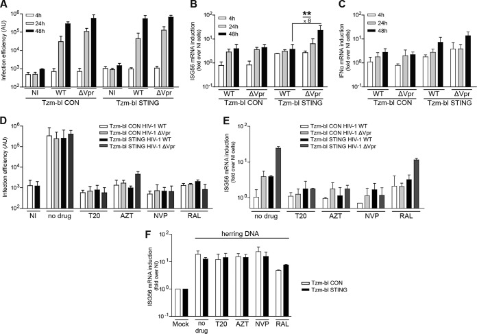 FIG 4