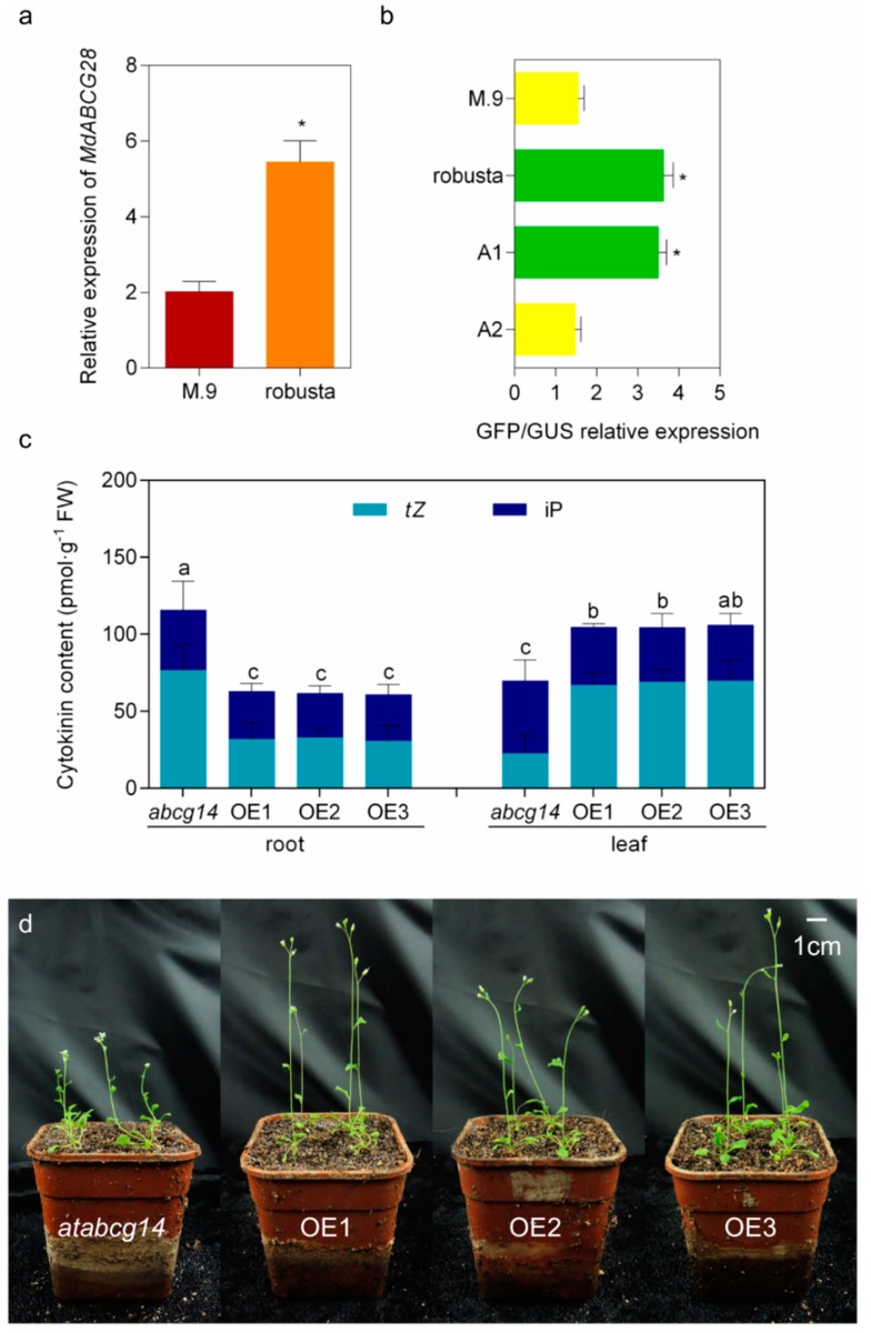 Figure 4