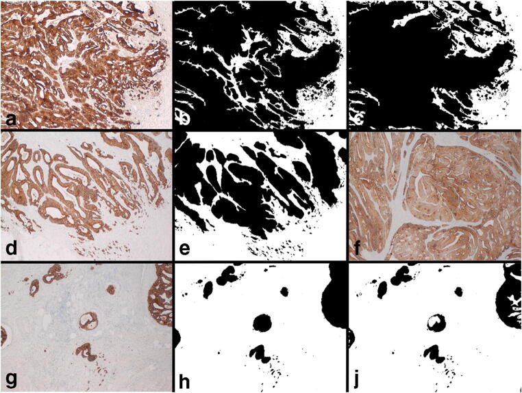 Fig. 1