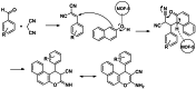Scheme 5