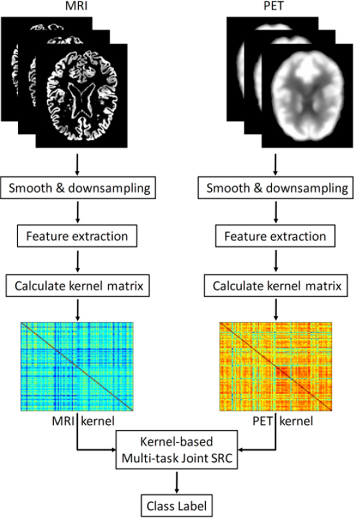 Fig. 1