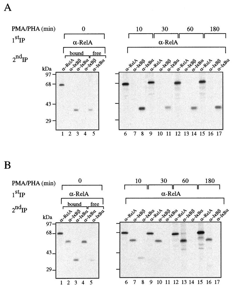 FIG. 3