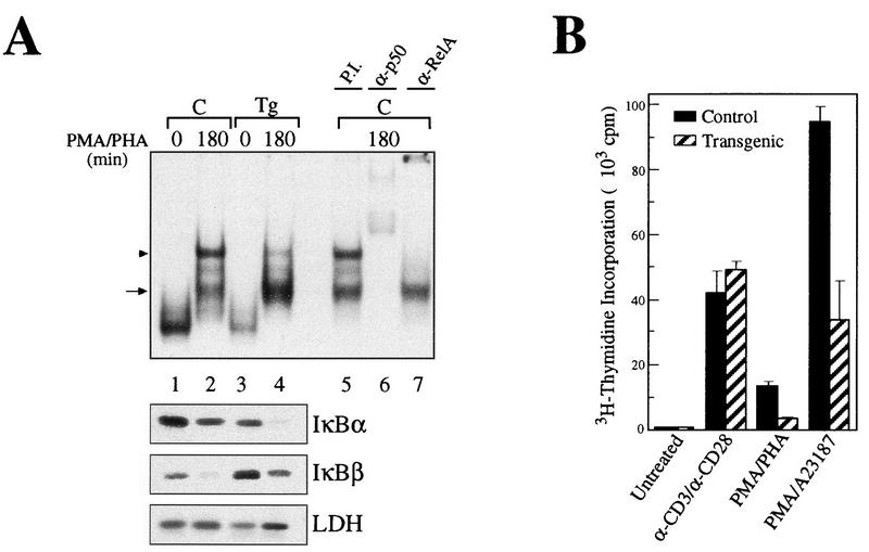 FIG. 6