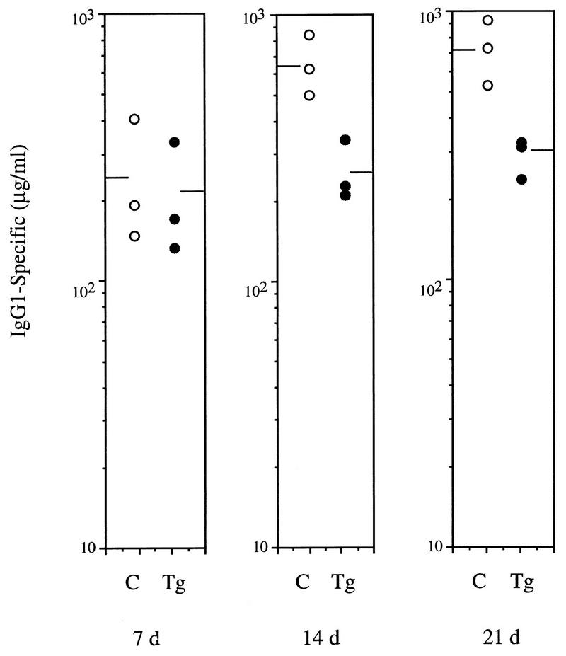 FIG. 8