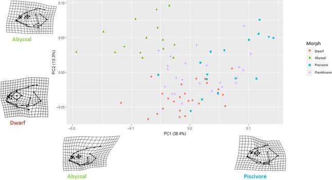 FIGURE 3