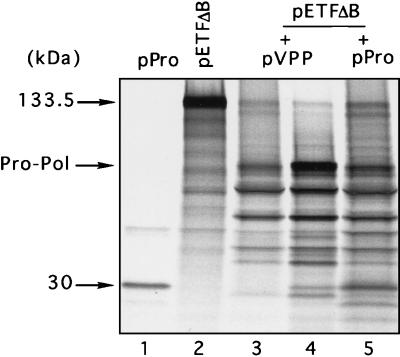 FIG. 5