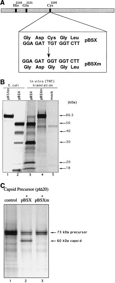 FIG. 3