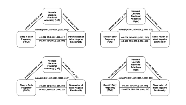 Supplementary Figure S3