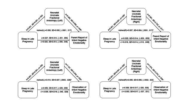 Supplementary Figure S5