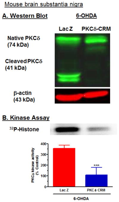 Fig. 11