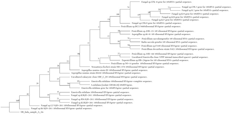 Figure 3.