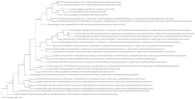 Figure 4.