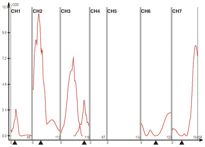 Figure 12