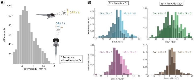 Figure 3—figure supplement 1.