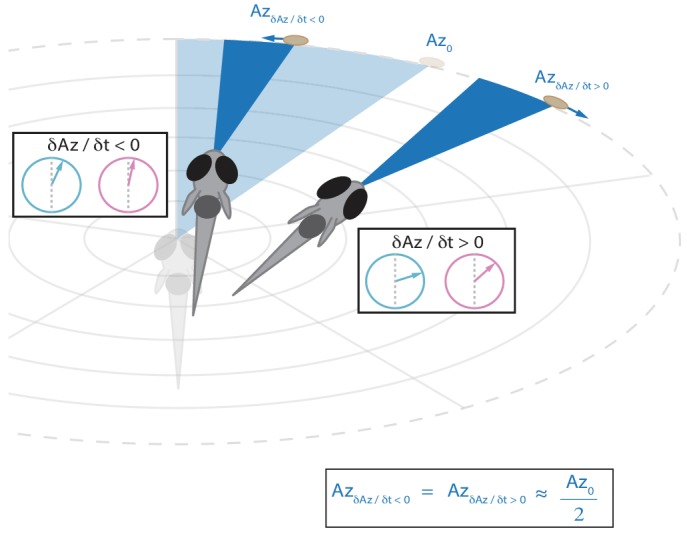 Figure 5—figure supplement 1.