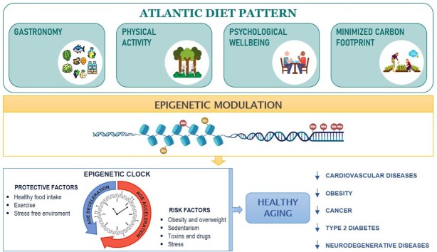 Graphical Abstract