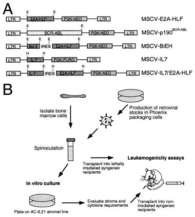 FIG. 1.