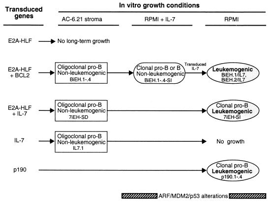 FIG. 6.