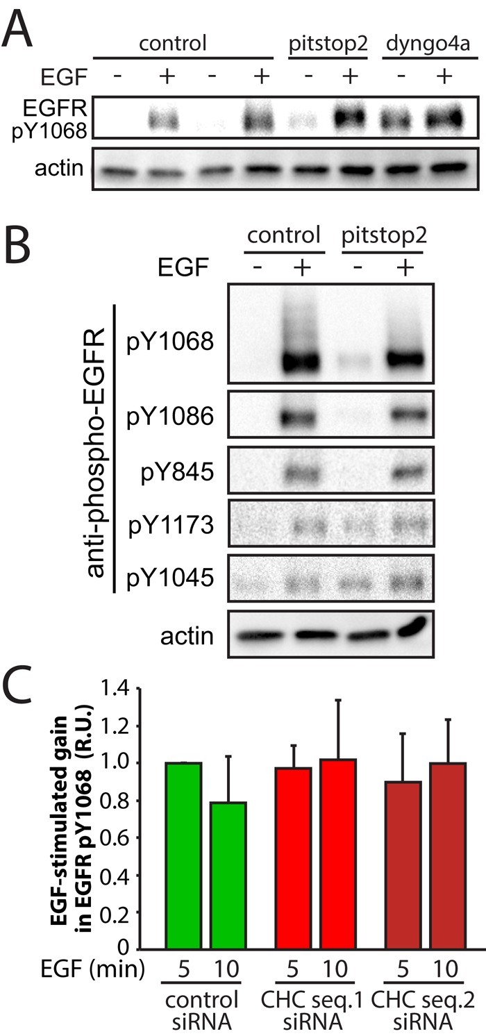 FIGURE 4: